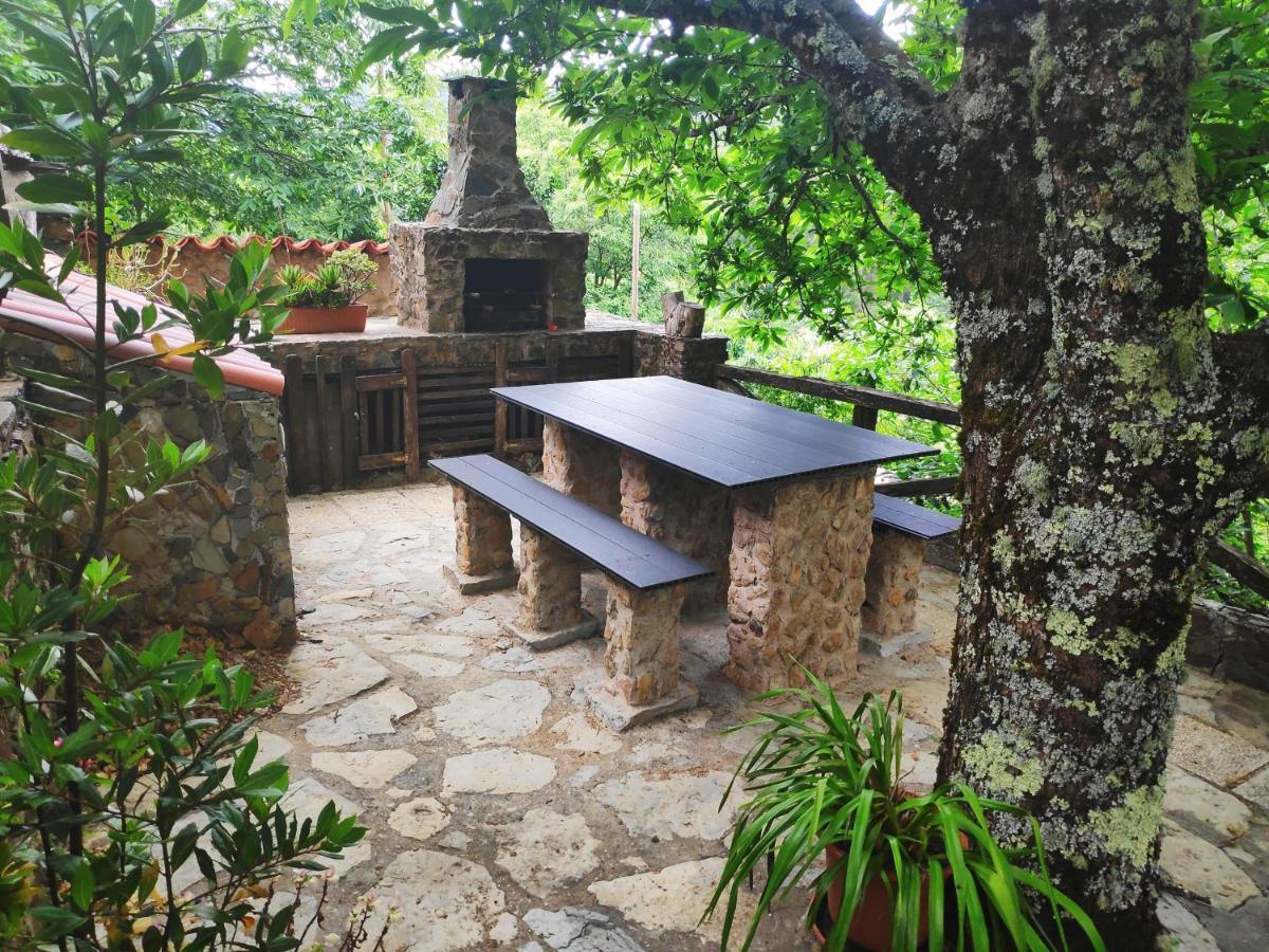 Casa Em Xisto Na Serra Da Lousa, Gondramaz エクステリア 写真