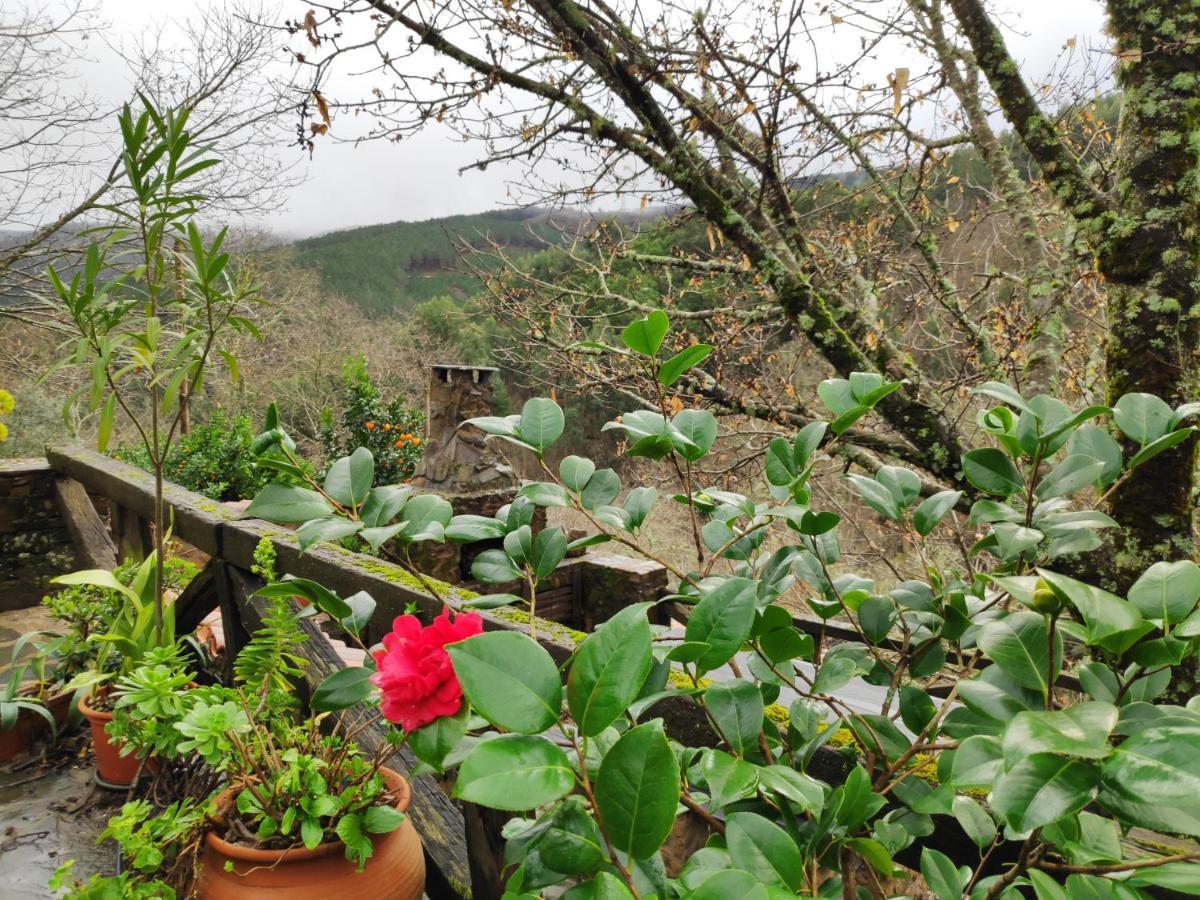 Casa Em Xisto Na Serra Da Lousa, Gondramaz エクステリア 写真