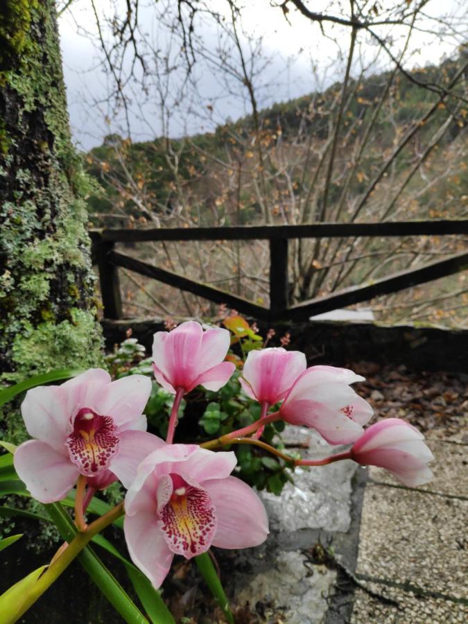 Casa Em Xisto Na Serra Da Lousa, Gondramaz エクステリア 写真